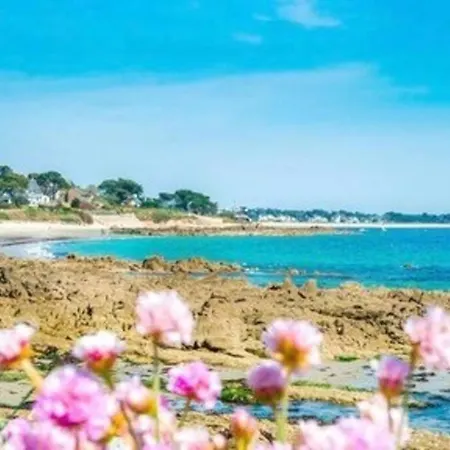 De Standing A 100m Des Plages كارناك